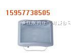 防眩通路灯J150W/100W/70W