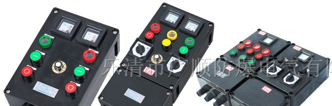 供应BXK-8030防爆控制箱（ⅡB、ⅡC）防爆防腐控制箱
