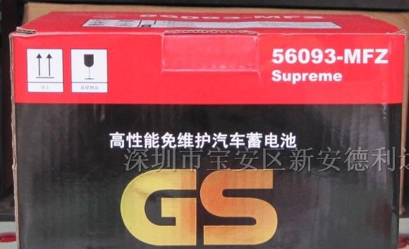 供应深圳统一电池 大众甲壳虫专用电池GS56093L