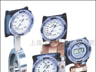 供应美国RCM流量计，RCM流量计，流量计