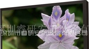 供应22寸液晶监视器，22寸煤矿监视器，监控