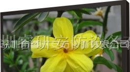 供应20寸液晶监视器，20寸煤矿监视器，工业监视器