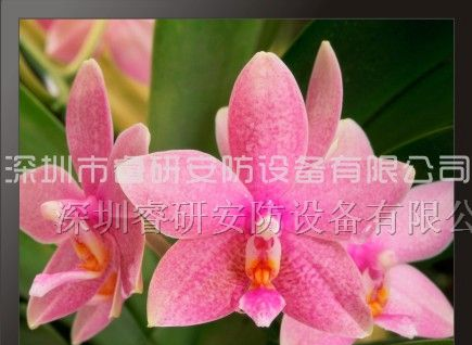 供应19寸液晶监视器，19寸煤矿监视器，监视器厂家