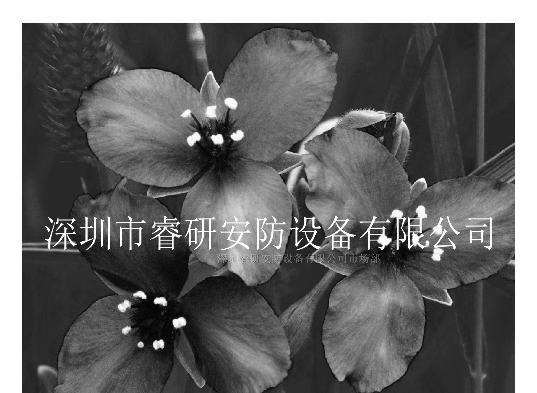 供应17寸液晶监视器，17寸煤矿监视器，17寸监视器厂家