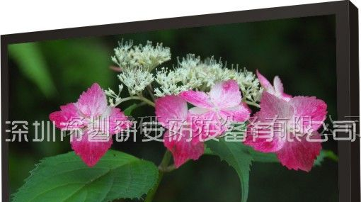 供应液晶监视器，监视器，监视器厂家