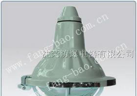 供应DYS防爆防腐全塑荧光灯