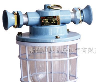 供应DGS 系列隔爆型白炽灯