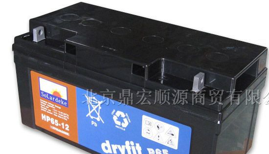 供应进口德克蓄电池