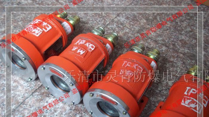 供应DGY9/24L（H）矿用信号灯，矿用LED信号灯