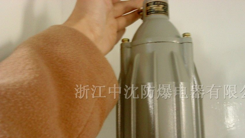 供应CBS58系列防爆视孔灯厂家