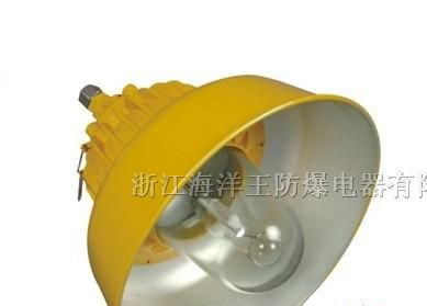 BPC8700防爆平台灯，BPC8700平台灯，BPC8700防爆灯