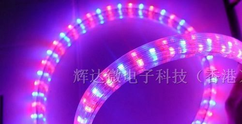 供应贴片发光二极管LED 5050 紫灯/紫色