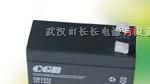 供应12V17AH电池