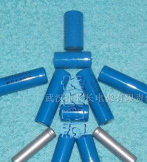 供应ER10280电池