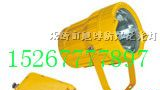 供应BTC8200防爆投光灯