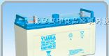 供应海南汤浅7AH/210AH蓄电池海口BB5AH/230AH蓄电池