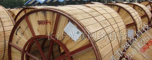 供应株洲ADSS光缆,株洲adss光缆金具和价格:长沙光联
