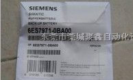 供应6EW1000-7AA西门子锂电池
