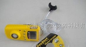 供应GAXT加拿大BW GAXT系列防水型单一气体检测仪