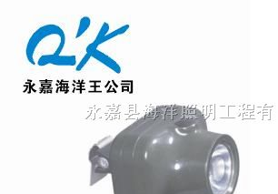 海洋王IW5110B固态强光防爆头灯