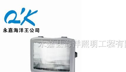 供应海洋王“NSE9720-J70”防眩应急通路灯