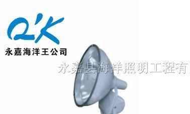 供应海洋王防水防尘防震投光灯ZT6900（ZT6900-J150）
