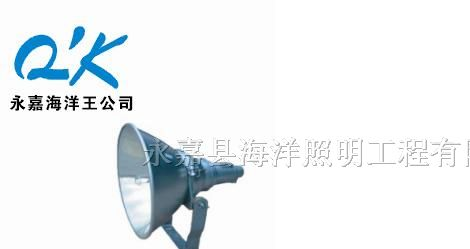 供应海洋王NTC9200-J1000防震型投光灯