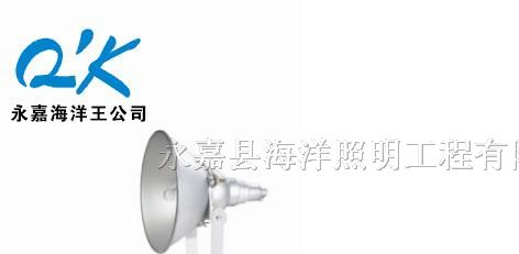 供应NTC9210防震型投光灯（海洋王NTC9210-J400）