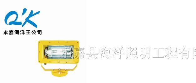 供应海洋王BFC8100-J400价格，BFC8100防爆泛光灯