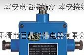 供应本安电话接线盒 本安接线盒 通讯接线盒