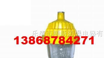 供应BPC8720防爆平台灯，三防平台灯