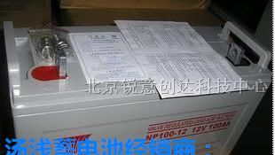 海南汤浅65AH蓄电池/供应商报价