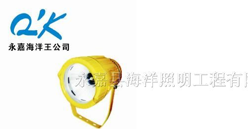 供应海洋王DGS70-127B（A）矿用隔爆型投光灯