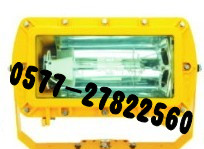供应*BFC8100防爆强光泛光灯—BFC8100