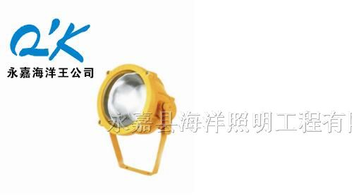供应海洋王BTC8200-J150防爆投光灯