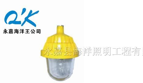 供应海洋王防爆灯70W|产品全称：BPC8720防爆平台灯