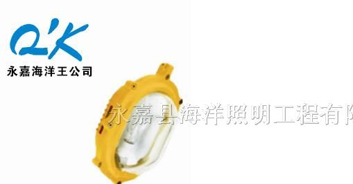 供应35W海洋王防爆灯|内场防爆应急灯（BFE8120-J35）