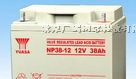 供应汤浅蓄电池NP100AH12V  汤浅蓄电池报价