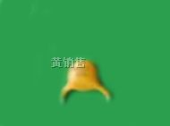 供应wh60-005自恢复保险丝