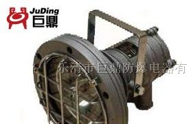 供应DGY20/127L，矿用LED投光灯，20W投光灯