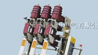 供应户内负荷开关FZN25-12 厂家