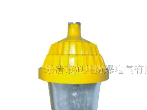 供应BPC8720防爆平台灯/?BPC8720防爆平台灯