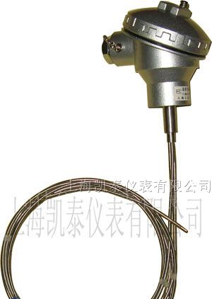 供应多点铠装防爆热电偶WRN-230D WRE-230D WRN-430D