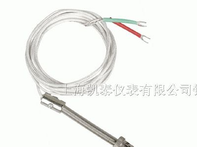 上海凯泰厂价直销压簧式热电偶WRN-01 WRE-01 WZP-01