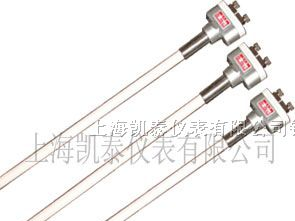 R型铂铑热电偶WRQ-130 铂铑13-铂热电偶