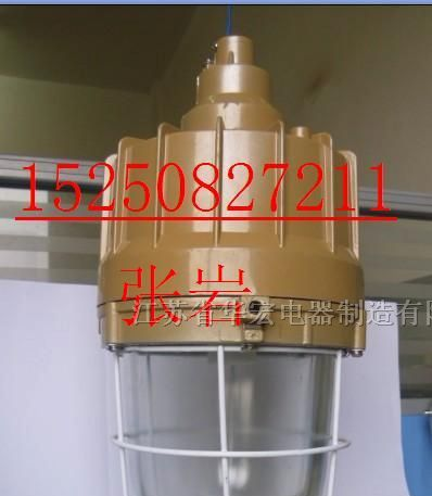 供应华宏牌品牌灯具 BAD83防爆无极灯 LED防爆灯