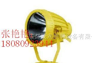 供应成都防爆投光灯