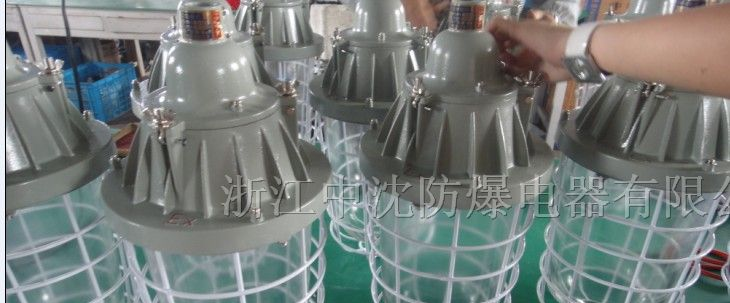 供应隔爆型防爆灯CBB56-250（加长）