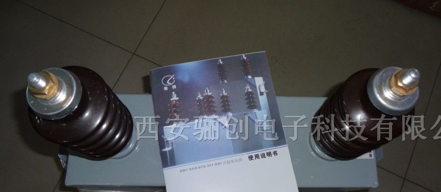 供应高压并联电容器BAM6.6√3-100-1W