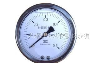 供应YNF-100、150型耐震压力表